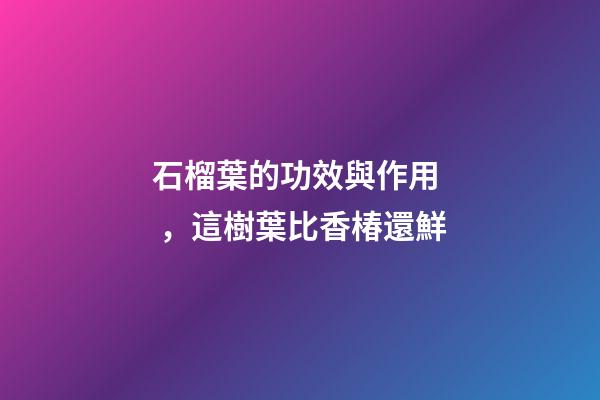 石榴葉的功效與作用，這樹葉比香椿還鮮-第1張-觀點-玄機派